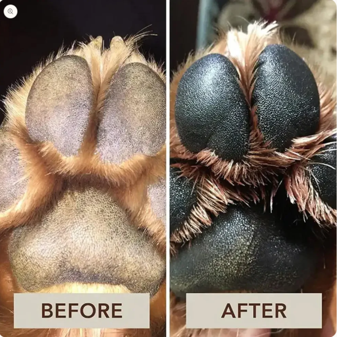 Kings Honey Paw & Nose Balm