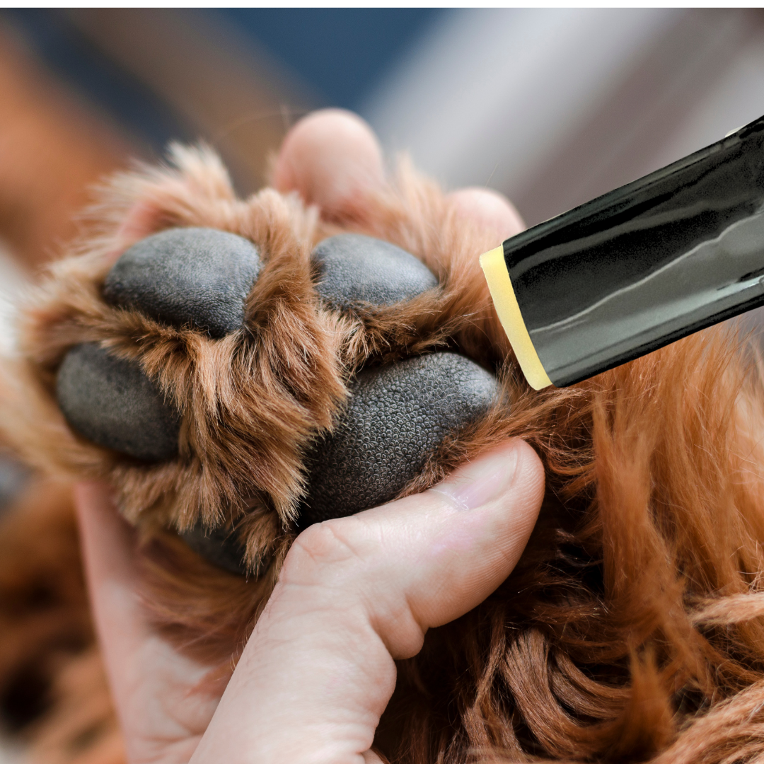 Kings Honey Paw & Nose Balm