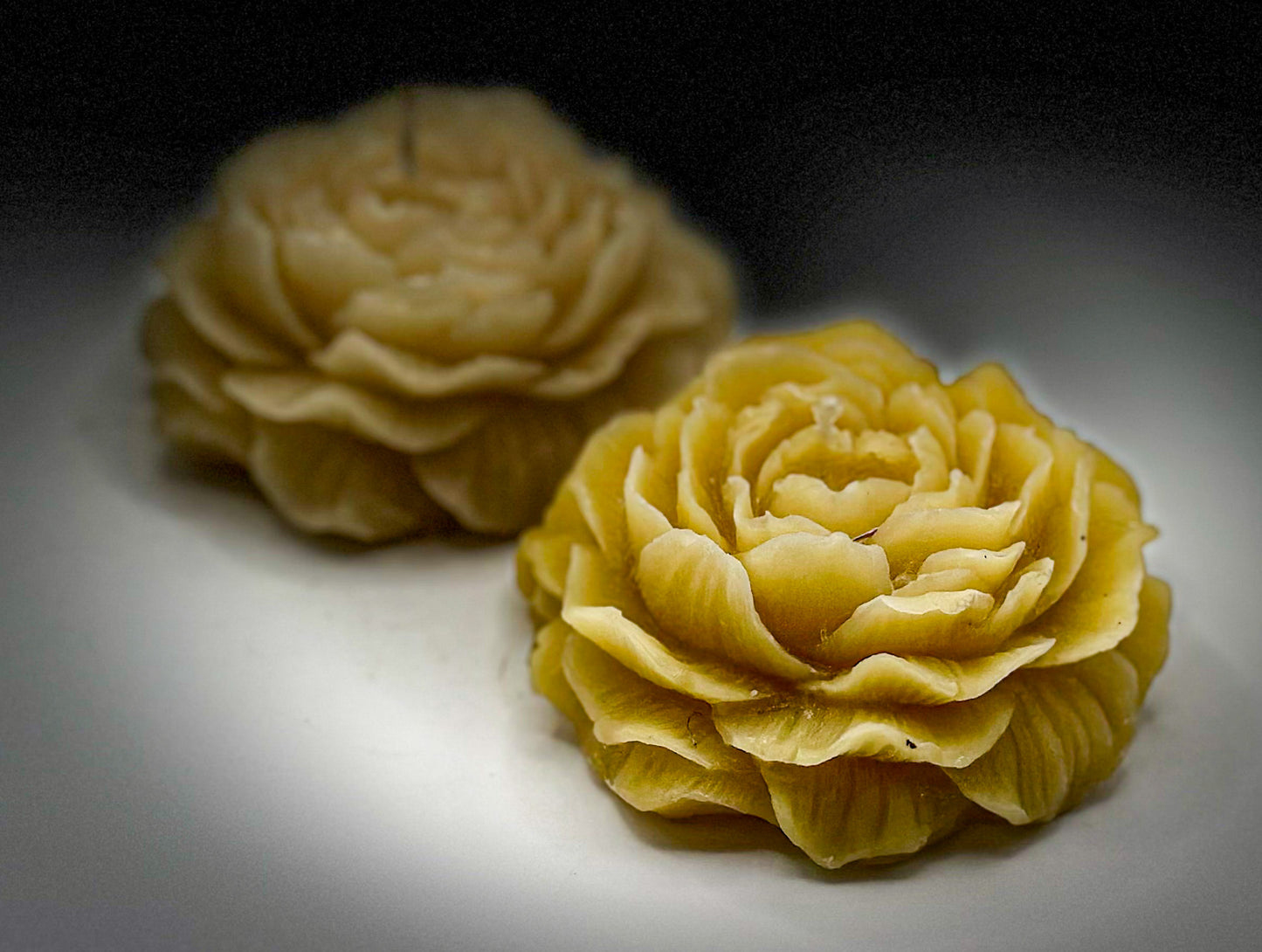 Open Rose Beeswax Candle
