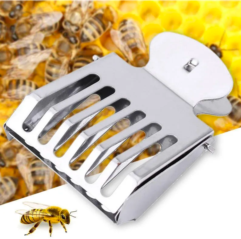 Stainless steel Queen clip