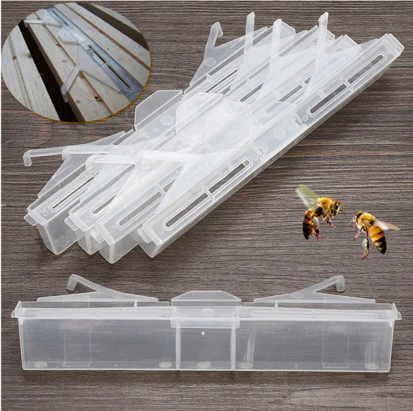 Small Hive Beetle Trap - Frame fitting – Kings Honey