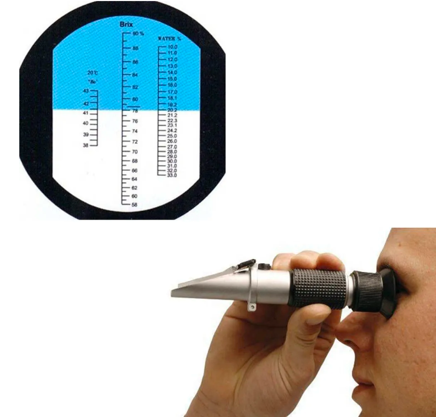 Refractometer