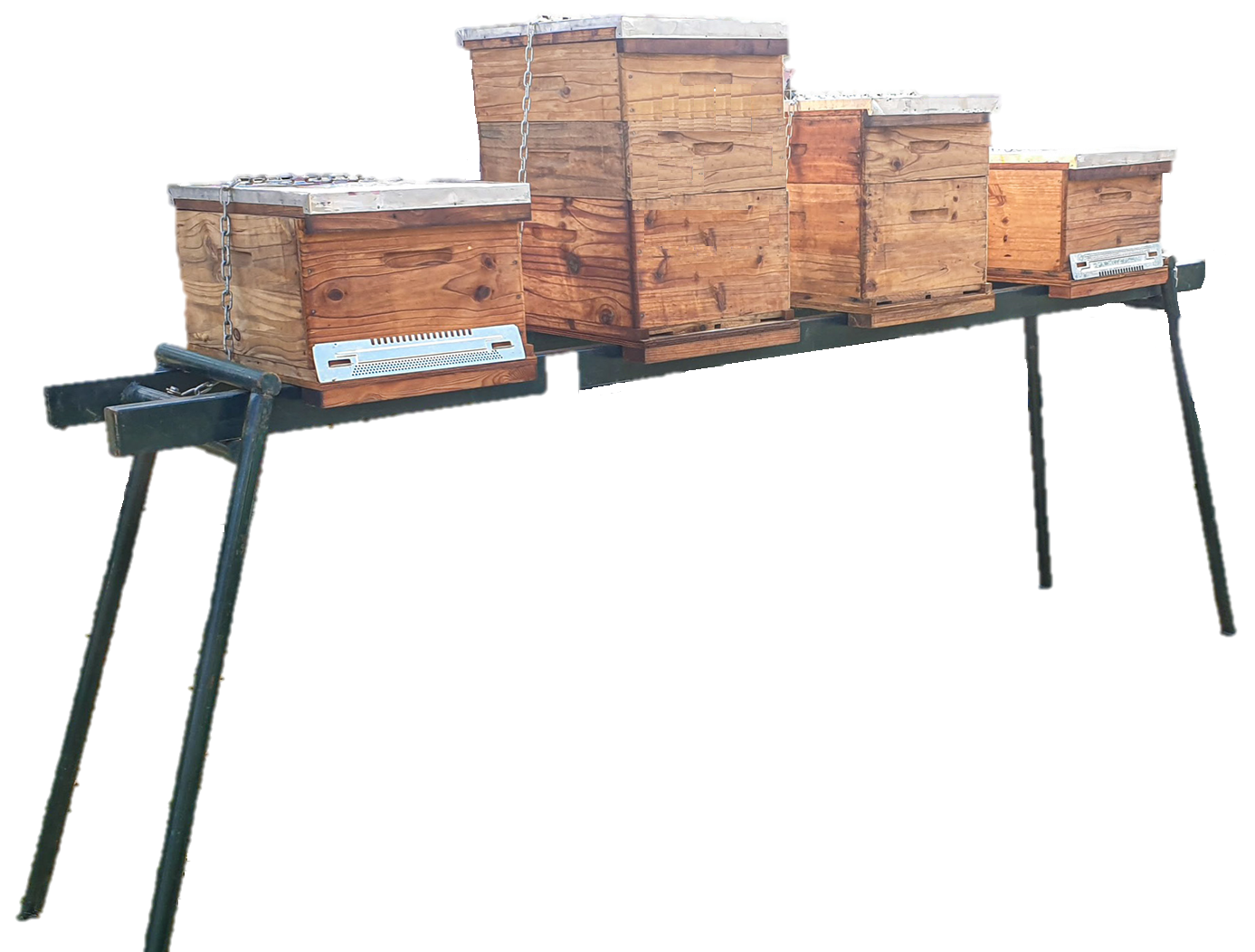 4 Hive badger proof metal stand – Kings Honey