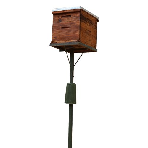 Single hive stand